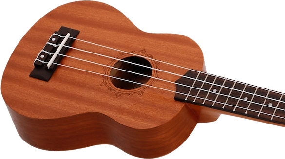 FL-NUS310-IMG-02-SMALL