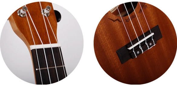 FL-NUS310-IMG-04-SMALL