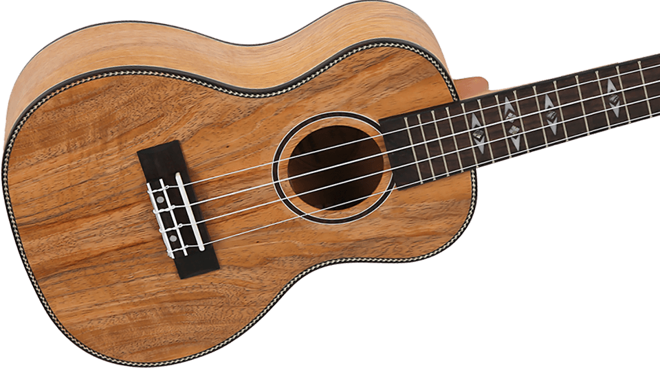 Flight DUC450 Mango Concert Ukulele – Flight Ukuleles