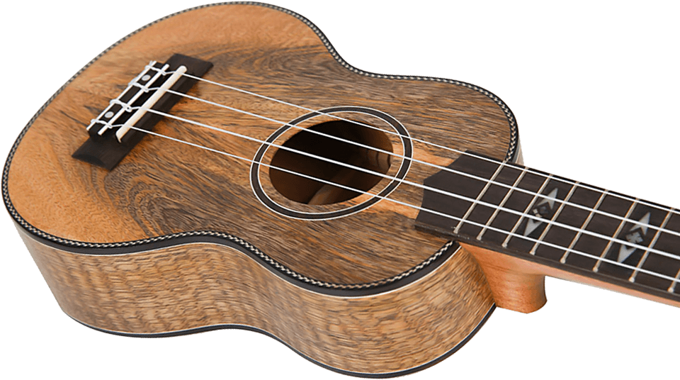 Acheter FLIGHT DUC450 UKULELE DE CONCERT MANGOWOOD + Housse