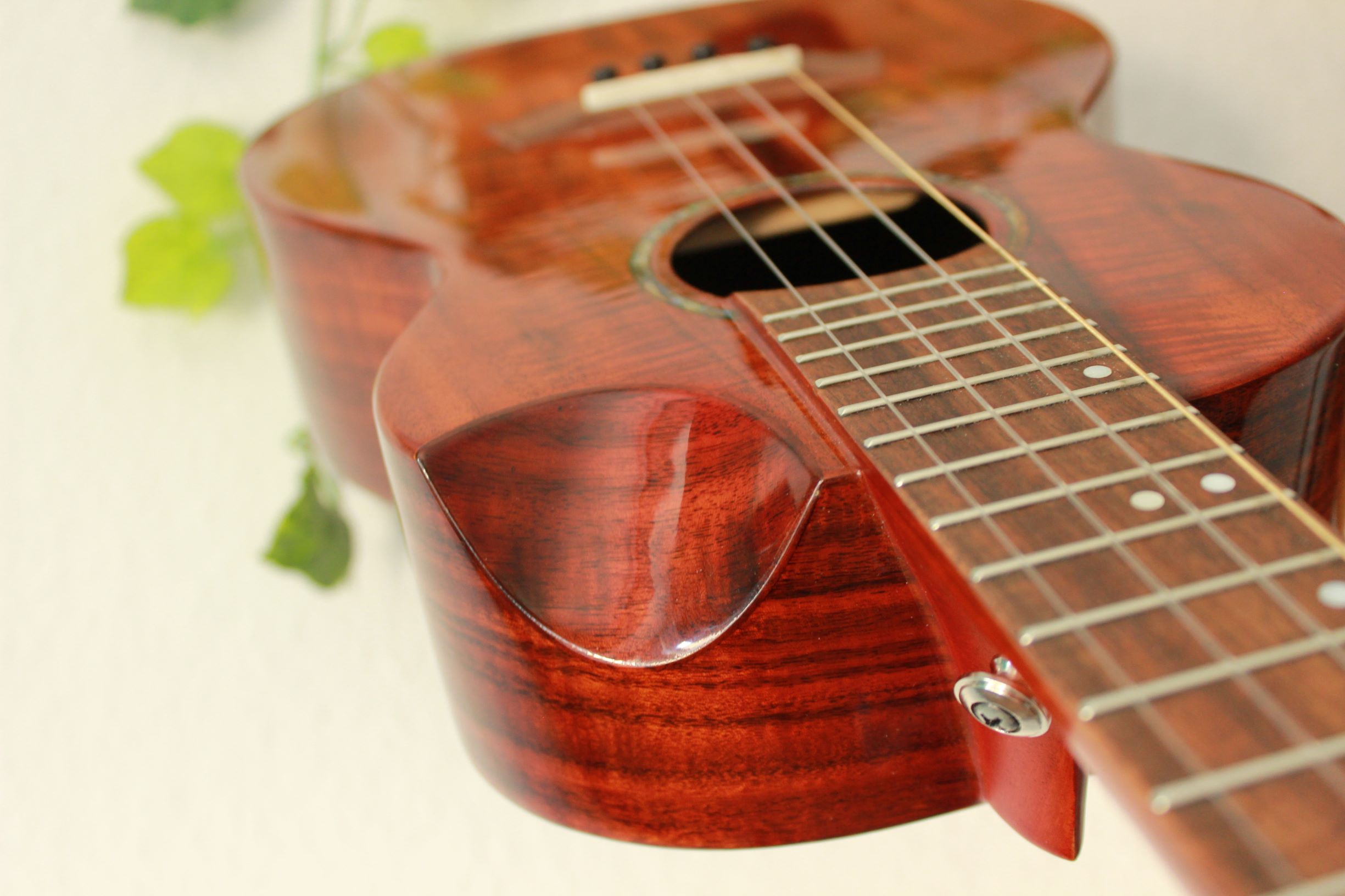 The Mysterious Low G Flight Ukuleles Just remember as a beginner to follow certain guidelines on string makeup and tuning. the mysterious low g flight ukuleles