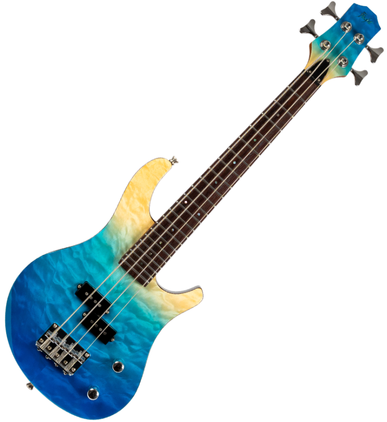 Mini bass. Гитары Flight со звукоснимателем отзывы Carlo Robelli.