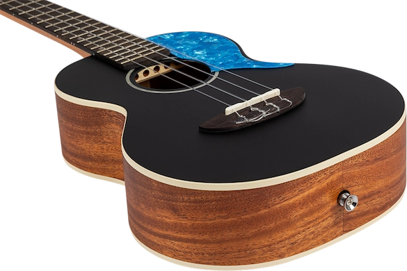 Iris-Tenor_8