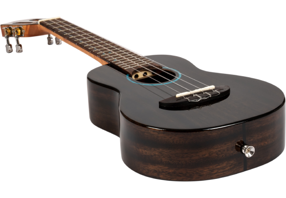 Flight Iris Tinta Concert TBK Ukulele 5