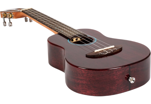 Flight-Iris-Tinta-Concert-TPP-Ukulele-5
